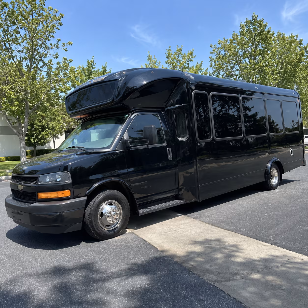 lodi 15 passenger party bus