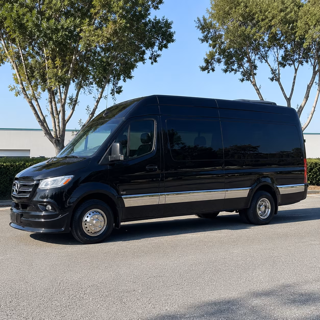 lodi sprinter van with driver